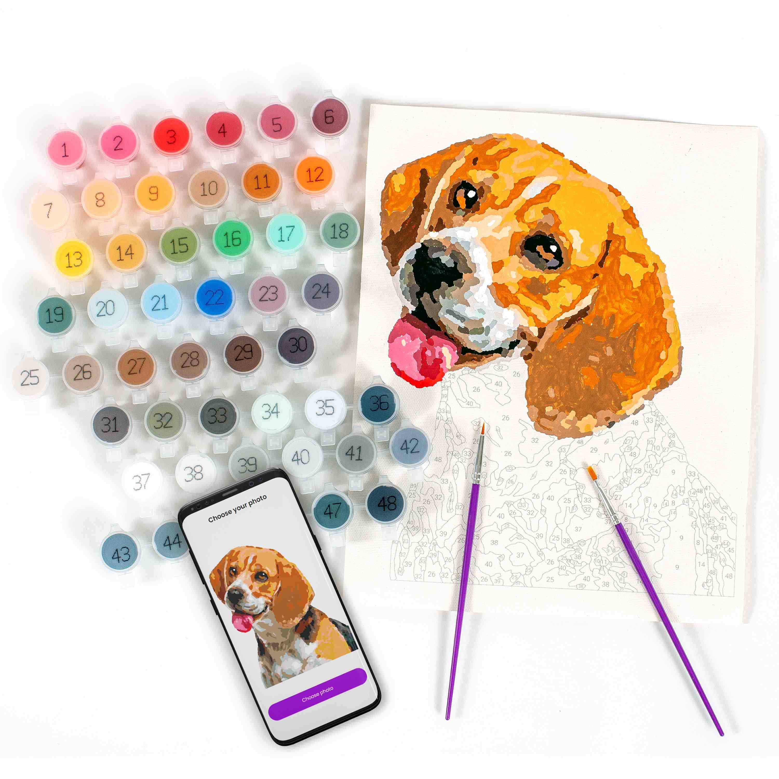 Paintable Pictures - Paint your Photo by Number | Pets Edition