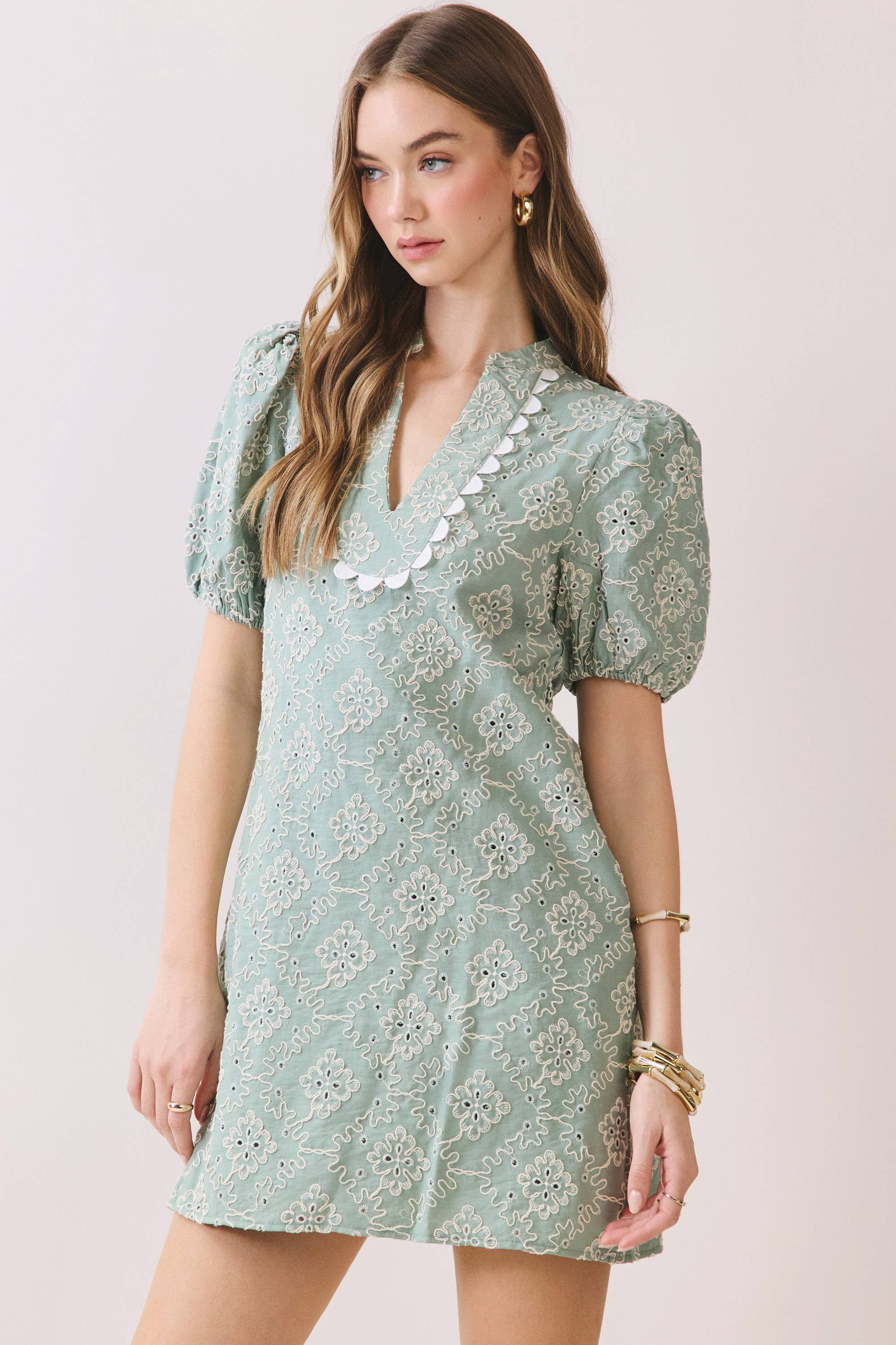 TCEC - CD06312-Embroidered Puff Sleeve V Neck Mini Dress